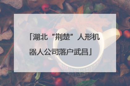 湖北“荆楚”人形机器人公司落户武昌