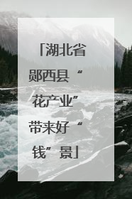 湖北省郧西县“花产业”带来好“钱”景