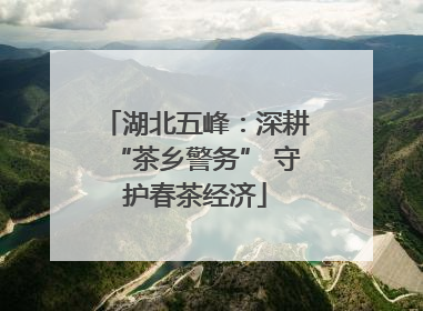 湖北五峰：深耕“茶乡警务” 守护春茶经济