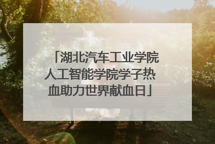 湖北汽车工业学院人工智能学院学子热血助力世界献血日