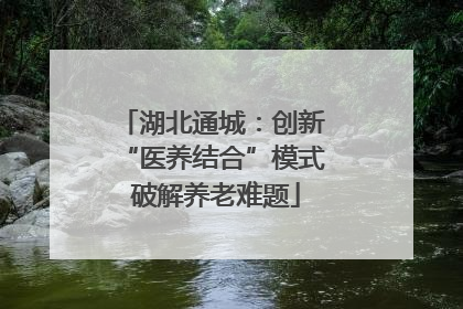湖北通城：创新 “医养结合”模式 破解养老难题