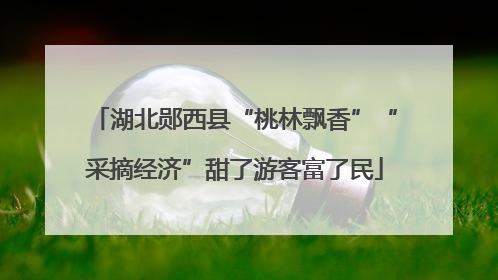湖北郧西县“桃林飘香”“采摘经济”甜了游客富了民