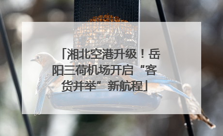 湘北空港升级！岳阳三荷机场开启“客货并举”新航程