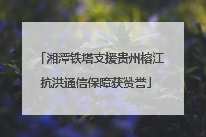 湘潭铁塔支援贵州榕江抗洪通信保障获赞誉