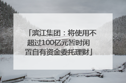滨江集团：将使用不超过100亿元暂时闲置自有资金委托理财