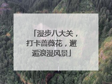 漫步八大关，打卡蔷薇花，邂逅浪漫风景