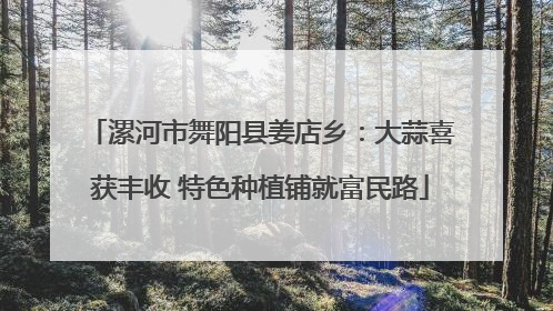漯河市舞阳县姜店乡：大蒜喜获丰收 特色种植铺就富民路