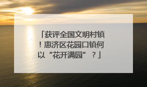 获评全国文明村镇！惠济区花园口镇何以“花开满园”？