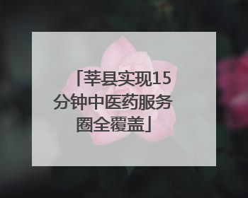 莘县实现15分钟中医药服务圈全覆盖