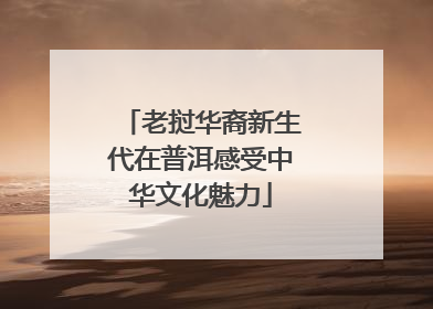 老挝华裔新生代在普洱感受中华文化魅力