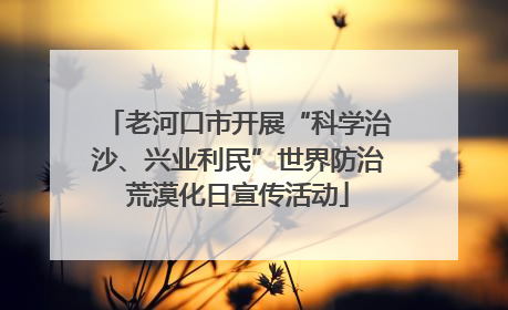 老河口市开展“科学治沙、兴业利民”世界防治荒漠化日宣传活动