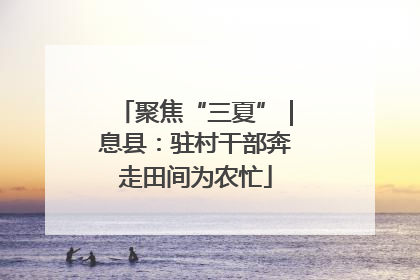 聚焦“三夏”｜息县：驻村干部奔走田间为农忙