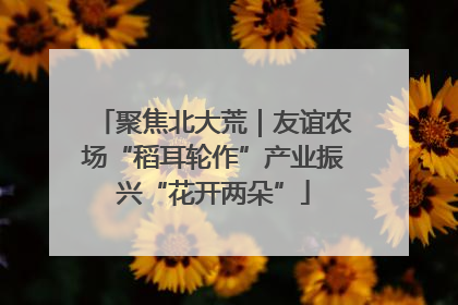 聚焦北大荒｜友谊农场“稻耳轮作”产业振兴“花开两朵”