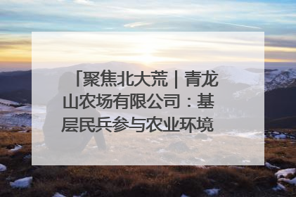 聚焦北大荒｜青龙山农场有限公司：基层民兵参与农业环境综合治理显效