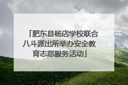 肥东县杨店学校联合八斗派出所举办安全教育志愿服务活动