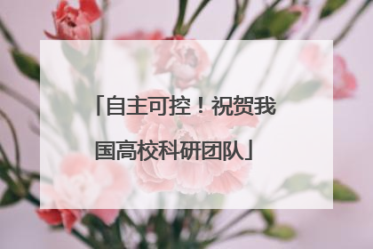 自主可控！祝贺我国高校科研团队