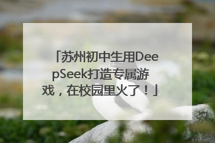 苏州初中生用DeepSeek打造专属游戏，在校园里火了！