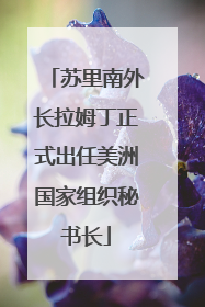 苏里南外长拉姆丁正式出任美洲国家组织秘书长