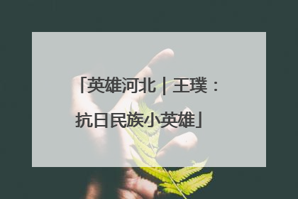 英雄河北｜王璞：抗日民族小英雄