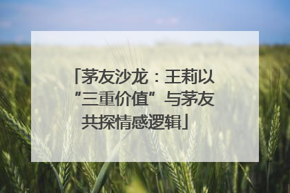 茅友沙龙：王莉以“三重价值”与茅友共探情感逻辑