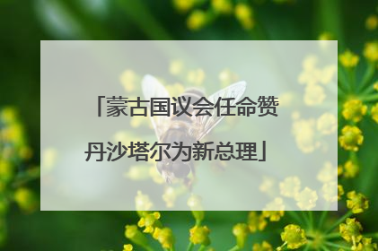 蒙古国议会任命赞丹沙塔尔为新总理