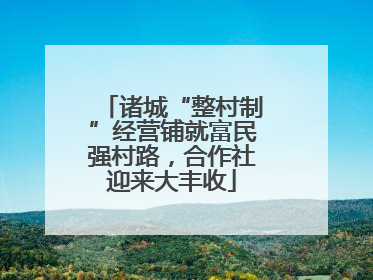 诸城“整村制”经营铺就富民强村路，合作社迎来大丰收