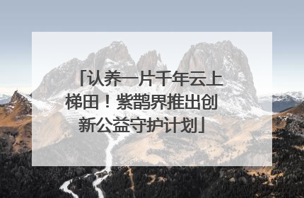 认养一片千年云上梯田！紫鹊界推出创新公益守护计划