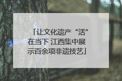 让文化遗产“活”在当下 江西集中展示百余项非遗技艺