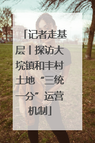 记者走基层丨探访大垸镇和丰村土地“三统一分”运营机制