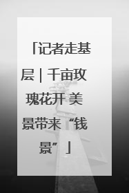 记者走基层｜千亩玫瑰花开 美景带来“钱景”