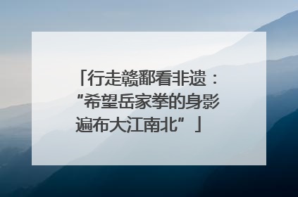 行走赣鄱看非遗：“希望岳家拳的身影遍布大江南北”