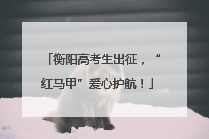 衡阳高考生出征，“红马甲”爱心护航！