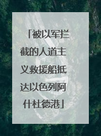 被以军拦截的人道主义救援船抵达以色列阿什杜德港
