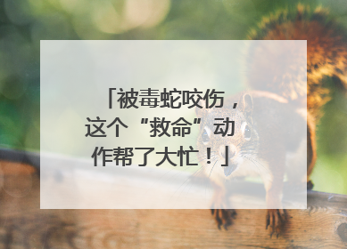 被毒蛇咬伤，这个“救命”动作帮了大忙！