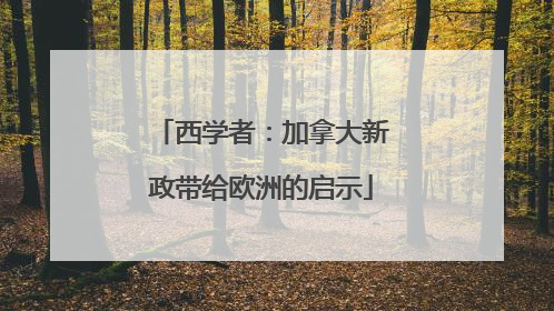 西学者：加拿大新政带给欧洲的启示