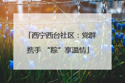 西宁西台社区：党群携手 “粽”享温情