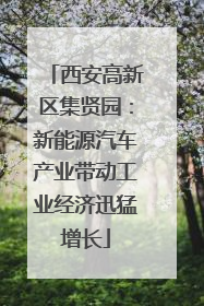 西安高新区集贤园：新能源汽车产业带动工业经济迅猛增长