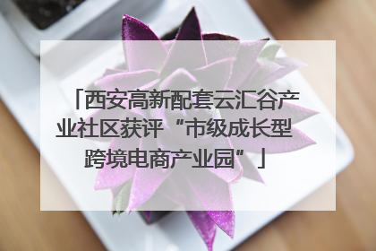 西安高新配套云汇谷产业社区获评“市级成长型跨境电商产业园”