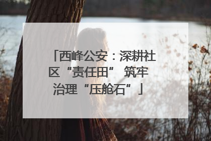 西峰公安：深耕社区“责任田” 筑牢治理“压舱石”