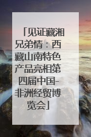 见证藏湘兄弟情：西藏山南特色产品亮相第四届中国-非洲经贸博览会