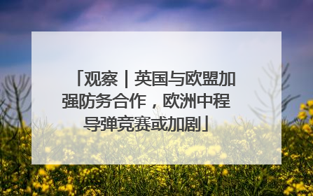 观察｜英国与欧盟加强防务合作，欧洲中程导弹竞赛或加剧