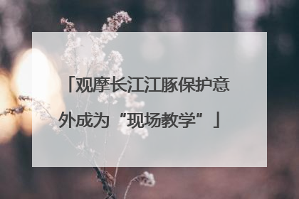 观摩长江江豚保护意外成为“现场教学”