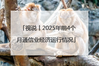 视说丨2025年前4个月通信业经济运行情况