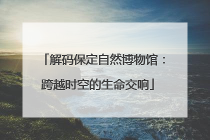 解码保定自然博物馆：跨越时空的生命交响
