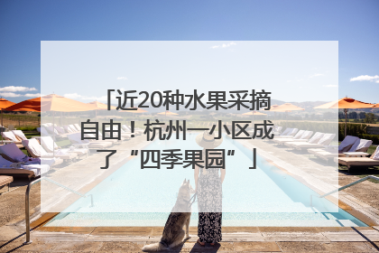 近20种水果采摘自由！杭州一小区成了“四季果园”