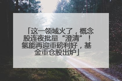 这一领域火了，概念股连夜批量“澄清”！氢能再迎重磅利好，基金重仓股出炉