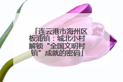 连云港市海州区板浦镇：城北小村解锁“全国文明村镇”成就的密码