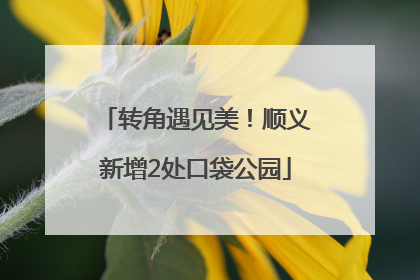 转角遇见美！顺义新增2处口袋公园