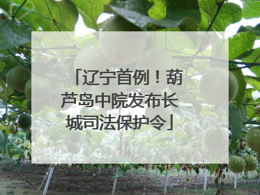 辽宁首例！葫芦岛中院发布长城司法保护令