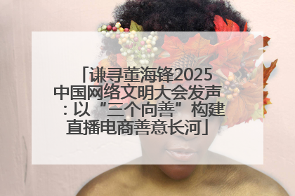 谦寻董海锋2025中国网络文明大会发声：以“三个向善”构建直播电商善意长河